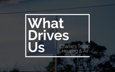 What Drives Us