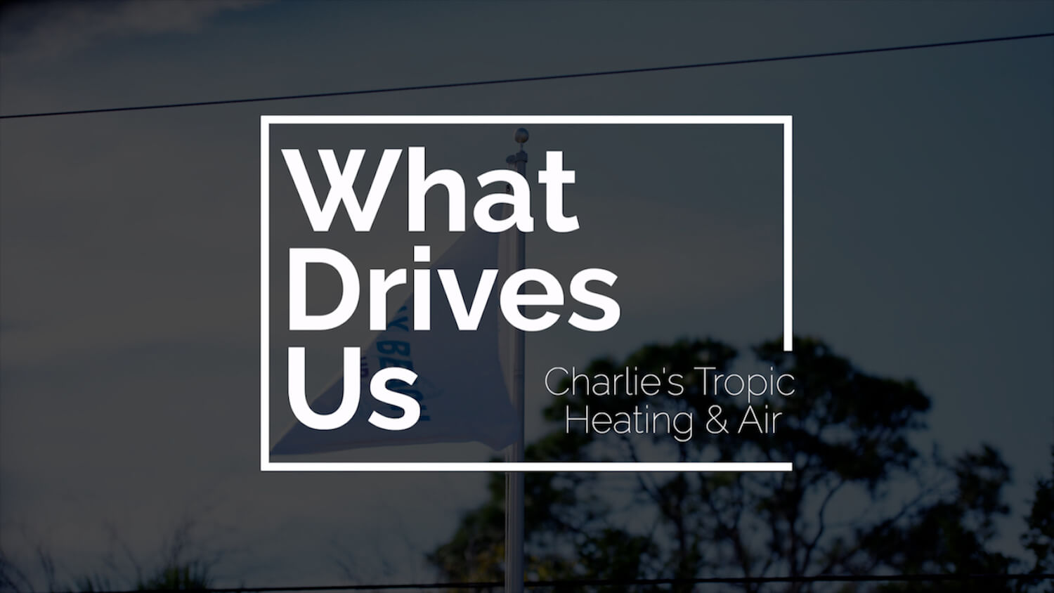 what drives us graphic