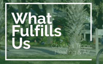 What Fulfills Us